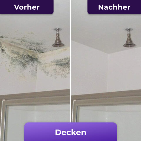 Antes y después de NuroClean en un techo